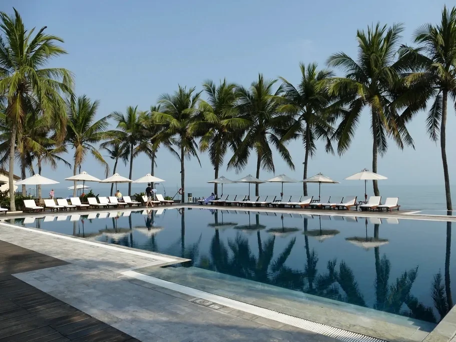 A palm-lined pool at dawn with mirror-still reflections