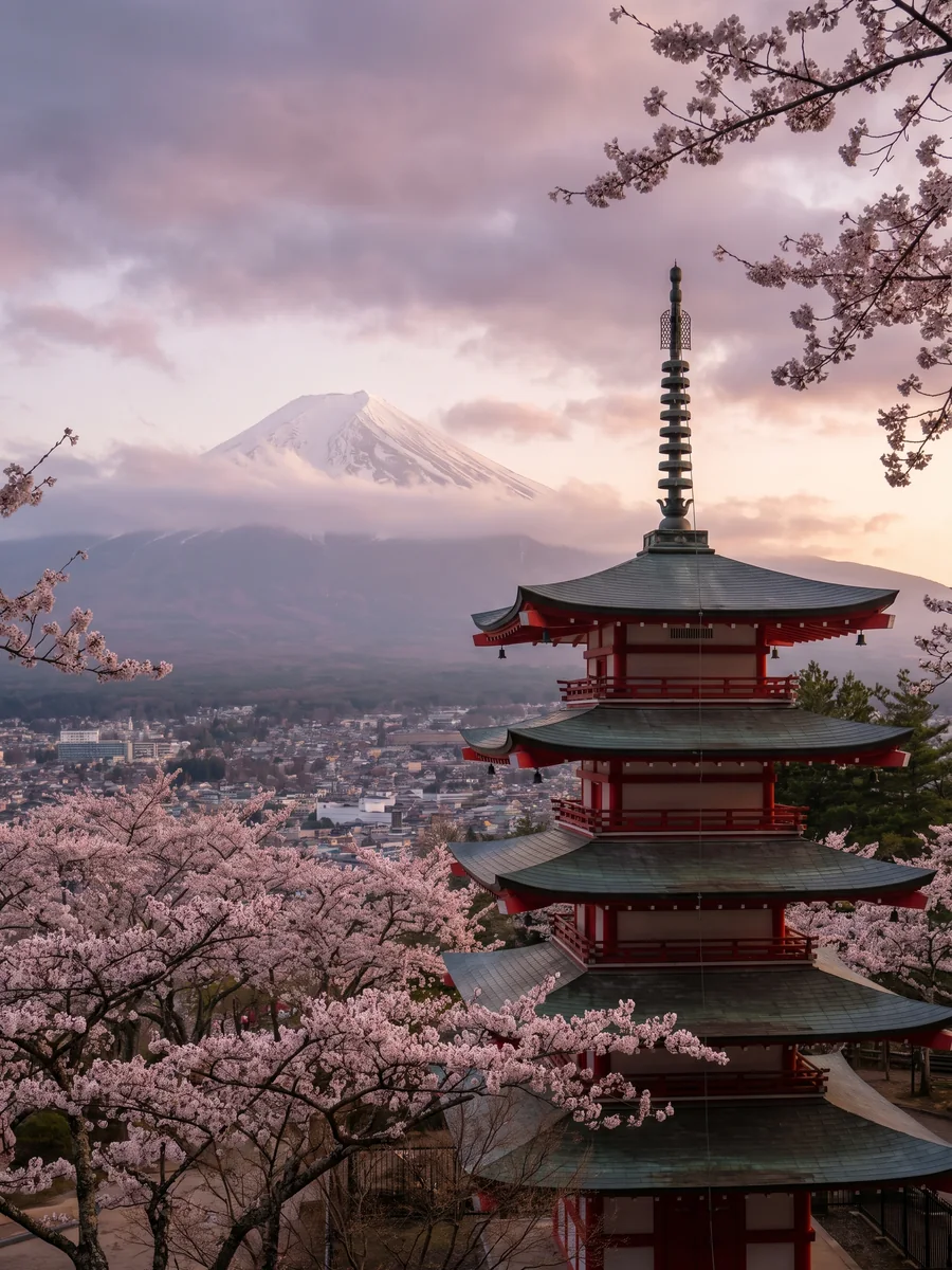 Mount Fuji at dawn behind a red pagoda framed by cherry blossoms